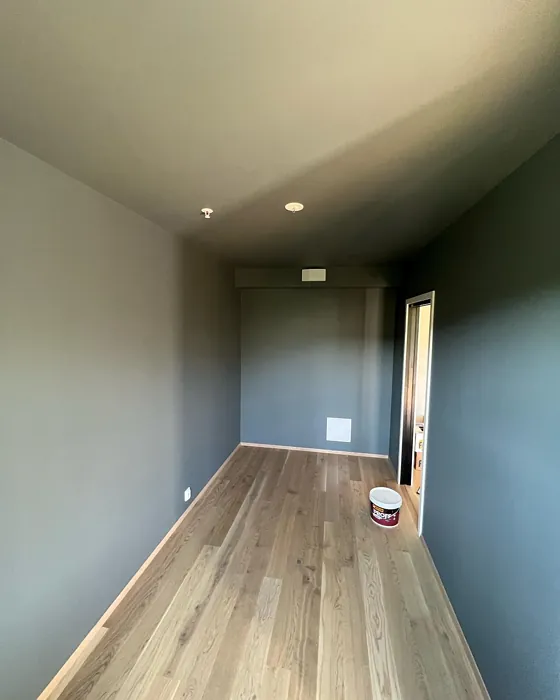 Jotun Iron Blue wall paint color review