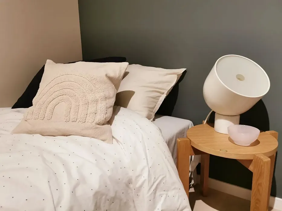 Jotun Iron Blue kids' room color