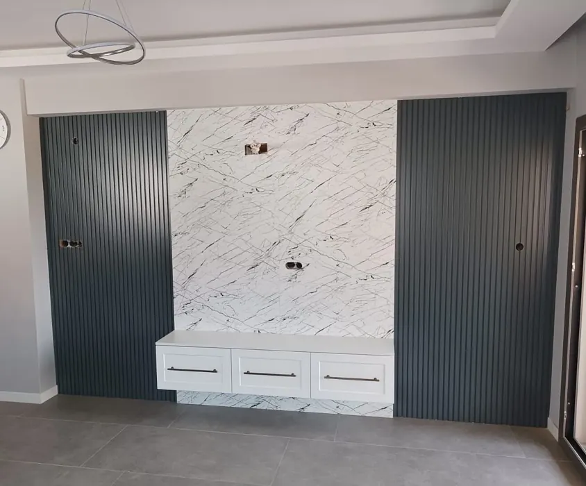 RAL Classic RAL 7011 wall panelling 