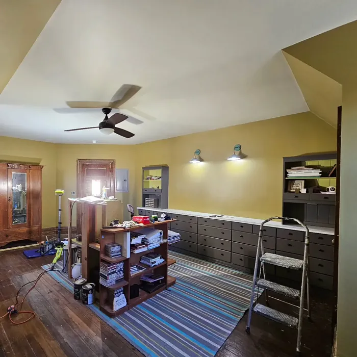 SW 9570 painted furniture paint review