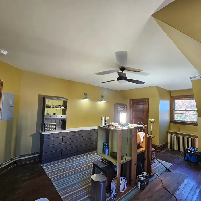 SW Ironclad painted furniture paint review