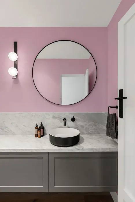 Sherwin Williams Irresistible minimalist bathroom