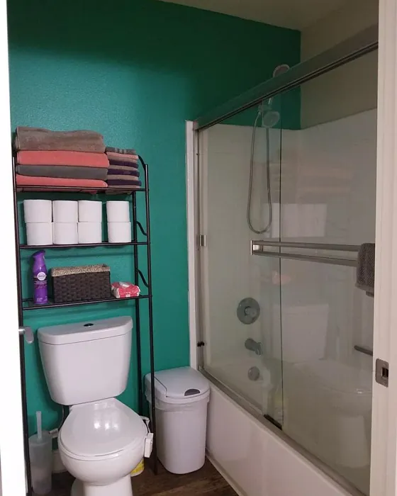 Sw 6753 Bathroom