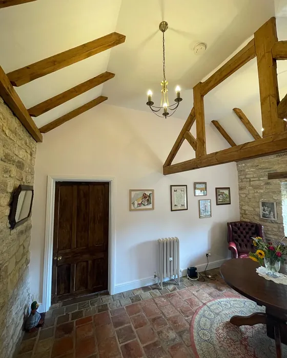 Jasmine Shimmer dining room color