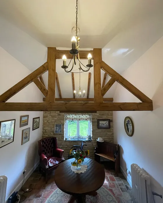 Jasmine Shimmer dining room color review