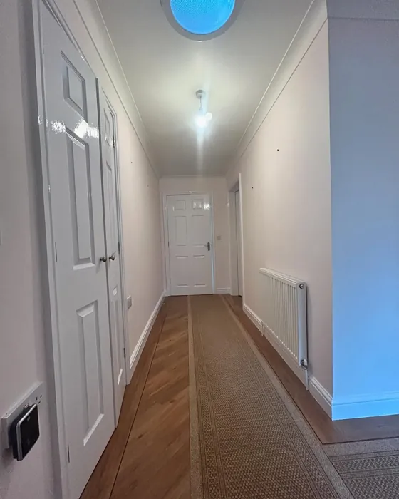 Dulux Jasmine Shimmer hallway color