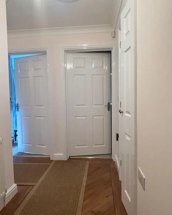 Dulux Jasmine Shimmer hallway color review