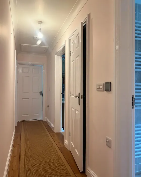 Dulux Jasmine Shimmer hallway paint review