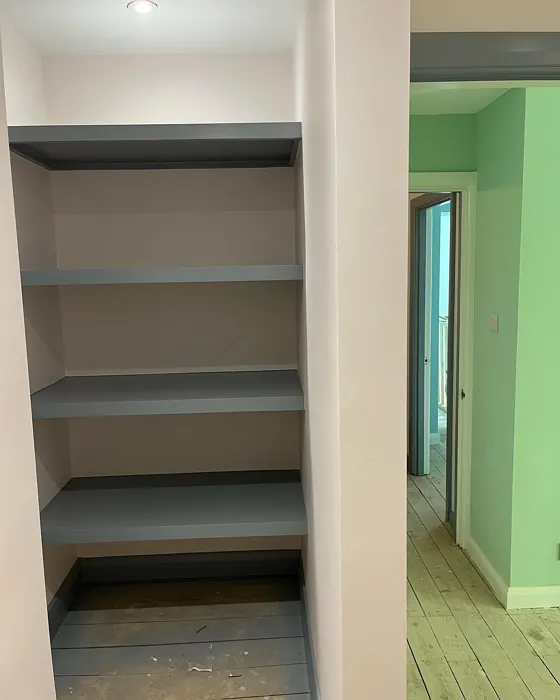 Dulux Jasmine Shimmer wall paint 