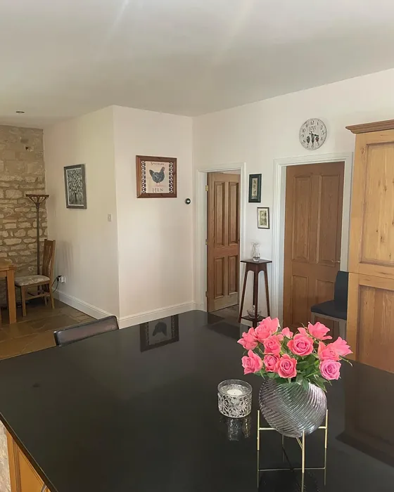 Jasmine Shimmer kitchen interior