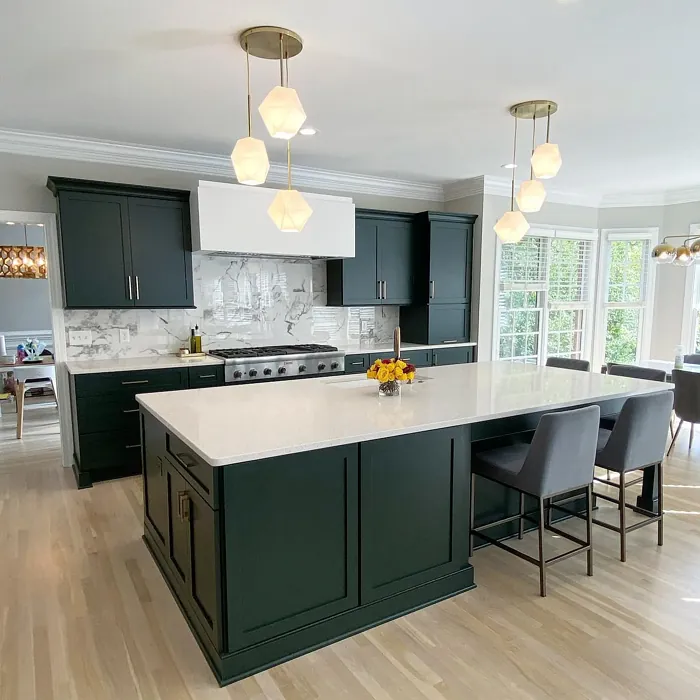 Sherwin Williams Jasper kitchen cabinets color