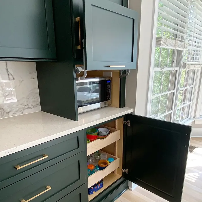 Sherwin Williams Jasper kitchen cabinets color review