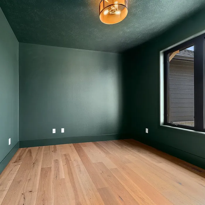 Sherwin Williams Jasper wall paint 