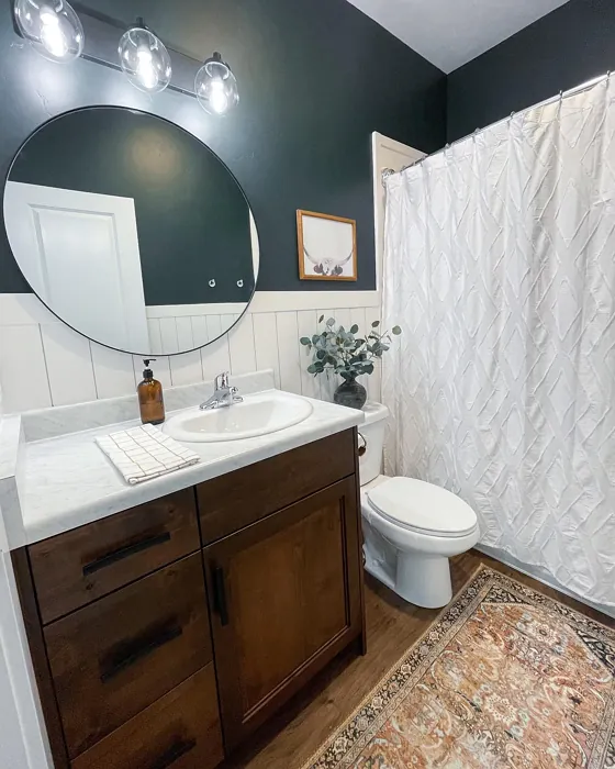 SW Jasper bathroom interior