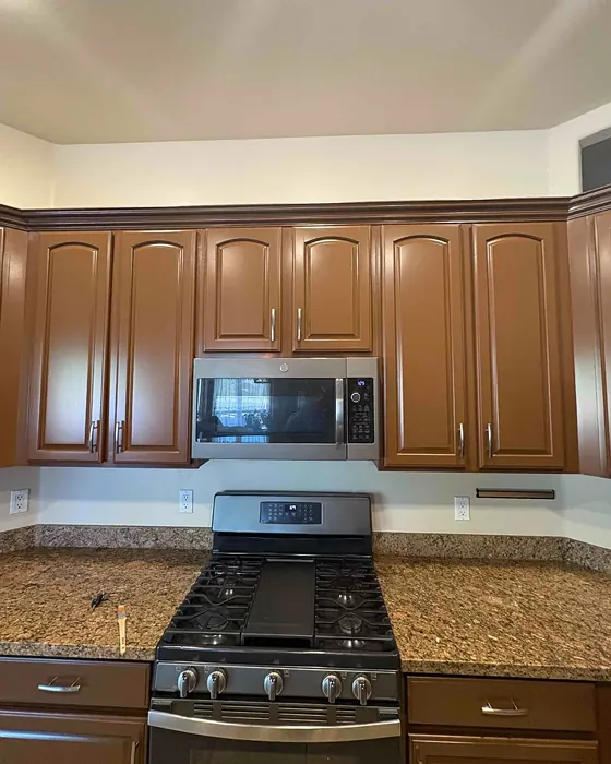 SW Java kitchen cabinets color SW Java kitchen cabinets color