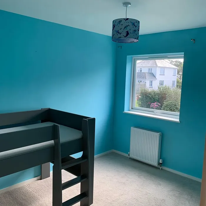 Dulux 17BG 36/333 kids' room color review