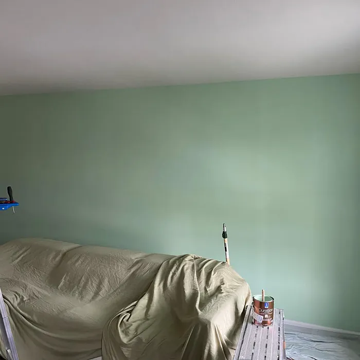 Sw Jocular Green Wall Paint