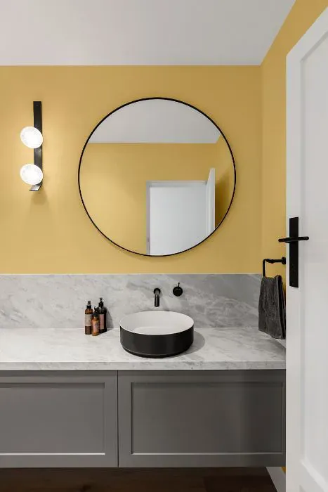 Sherwin Williams Jonquil minimalist bathroom