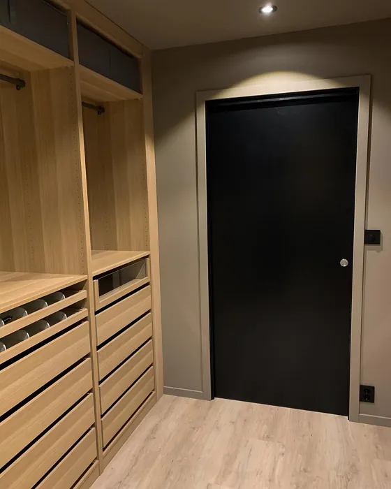 Jotun Nutmeg hallway color review