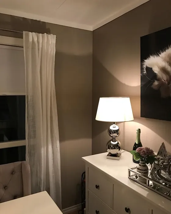 Jotun Nutmeg wall paint review