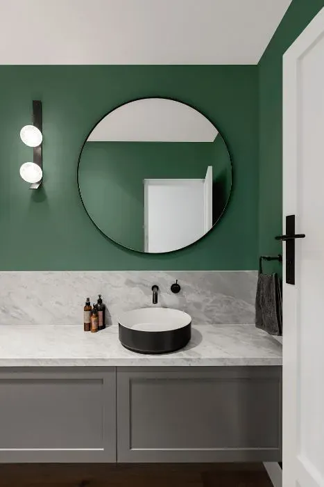 Sherwin Williams Juniper minimalist bathroom