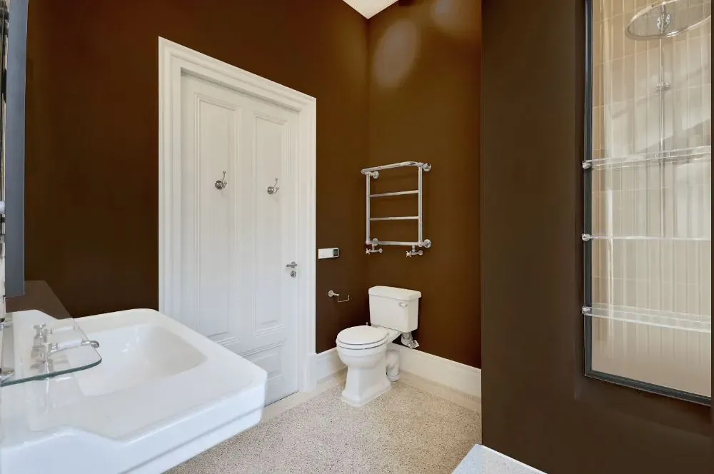 Sherwin Williams Kaffee bathroom