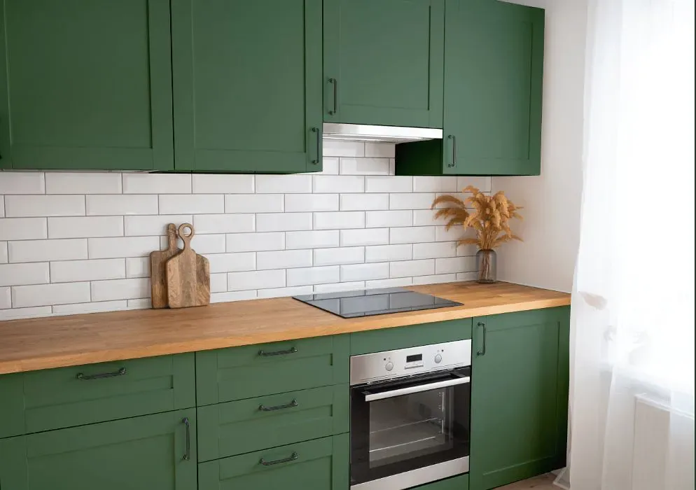 Sherwin Williams Kale Green kitchen cabinets