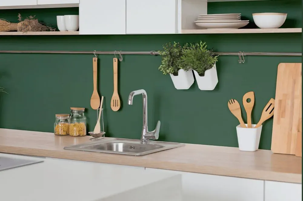 Sherwin Williams Kale Green kitchen backsplash