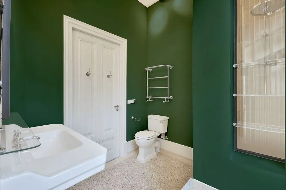 Sherwin Williams Kale Green bathroom