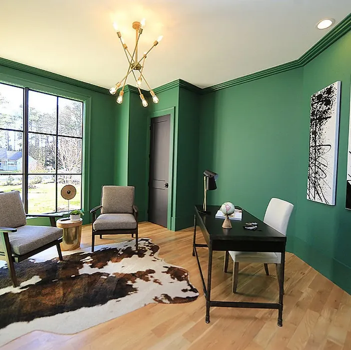 Sherwin Williams Kale Green wall paint color