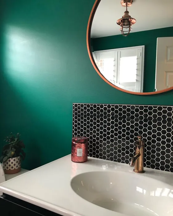 SW Kale Green bathroom color