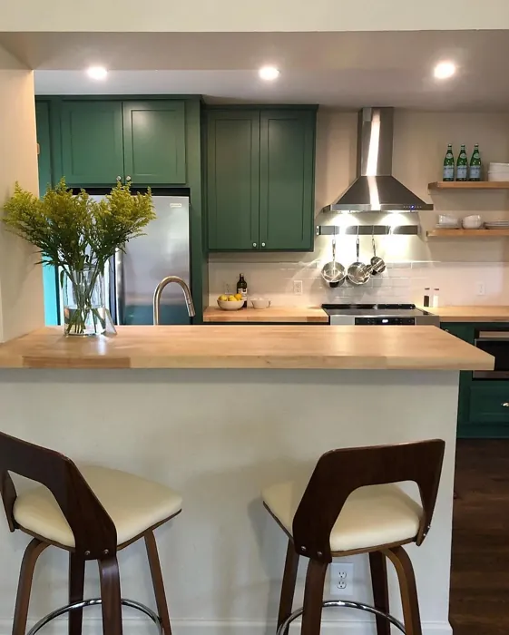 SW Kale Green kitchen cabinets color