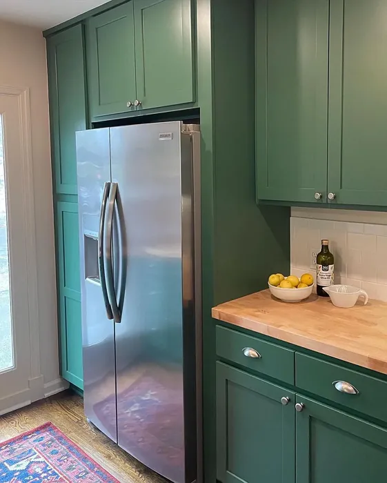 SW Kale Green kitchen cabinets 