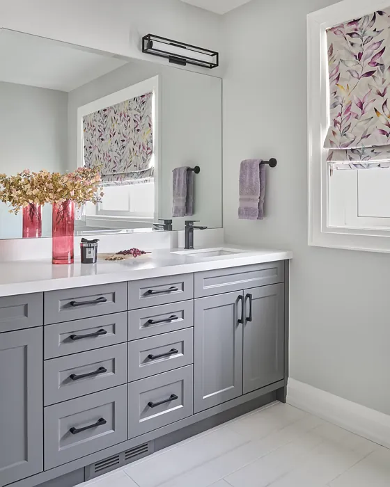 Benjamin Moore HC-166 bathroom vanity color review