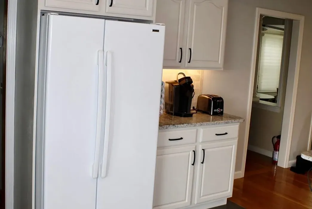 SW Kestrel White cozy kitchen cabinets paint review