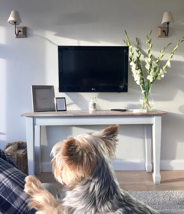 Dulux Khaki Mists 5 living room 