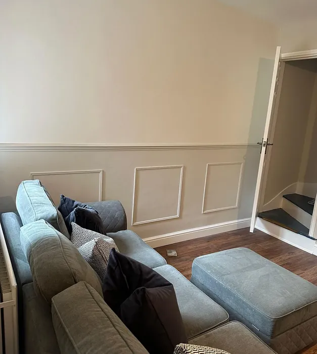 Dulux Khaki Mists 5 living room panelling