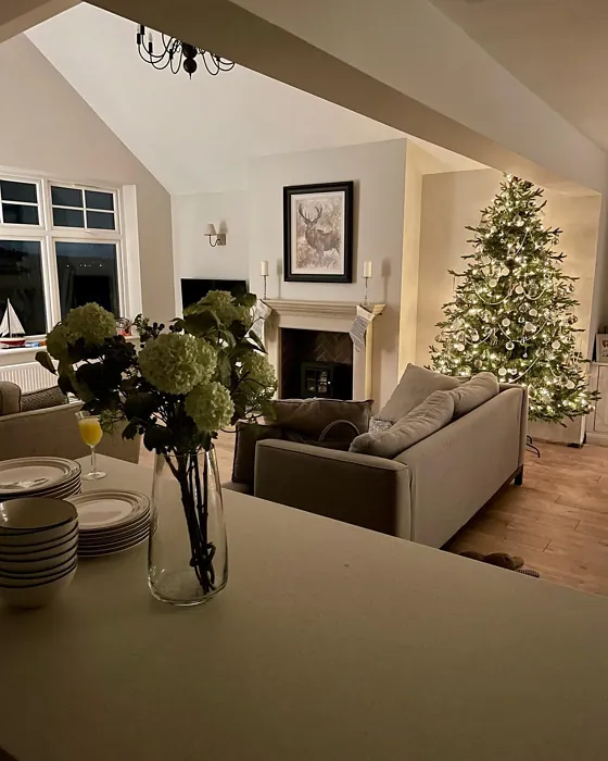 Dulux Khaki Mists 5 living room review