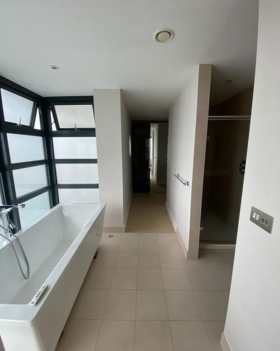 Dulux Khaki Mists 5 bathroom 