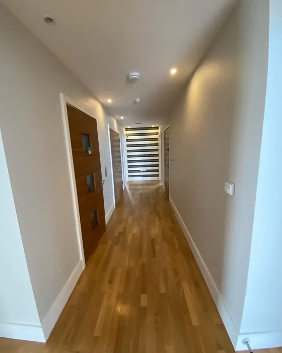 Dulux 30YY 69/048 hallway color review