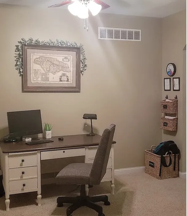 Sherwin Williams Khaki Shade home office 