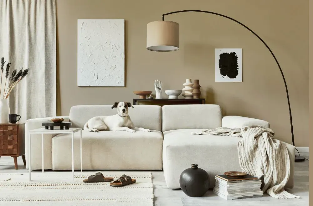 Sherwin Williams Khaki Shade cozy living room