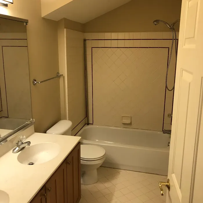 Sw 6106 Bathroom