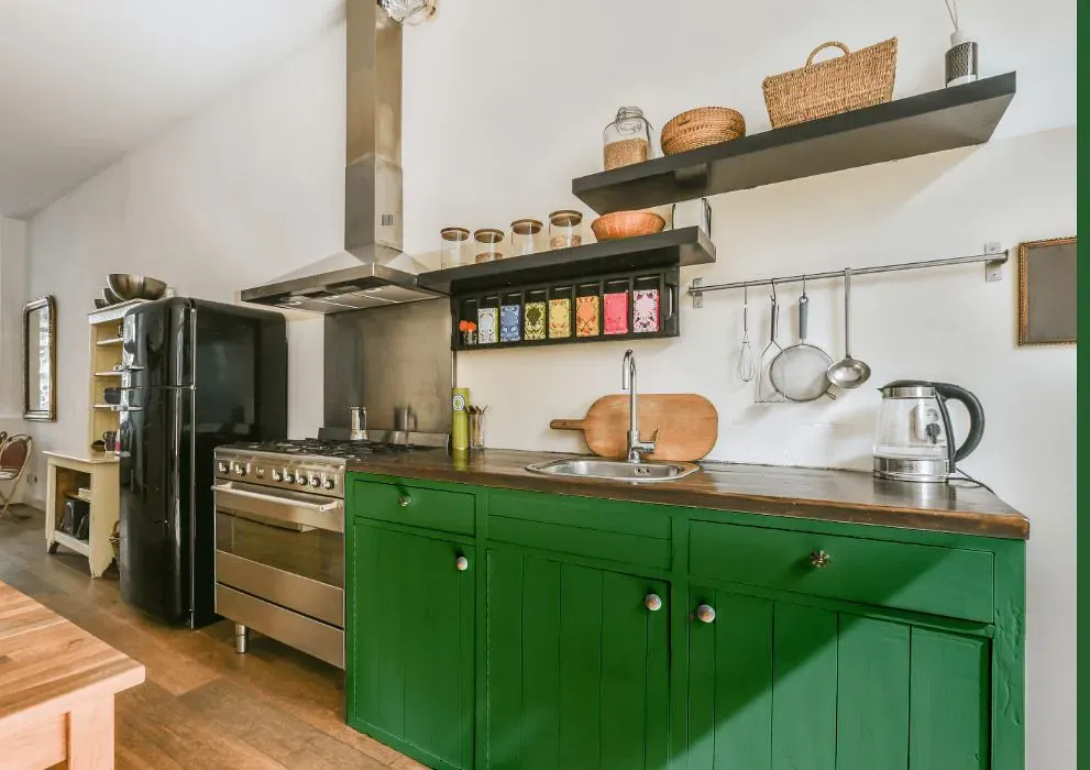 Sherwin Williams Kilkenny kitchen cabinets