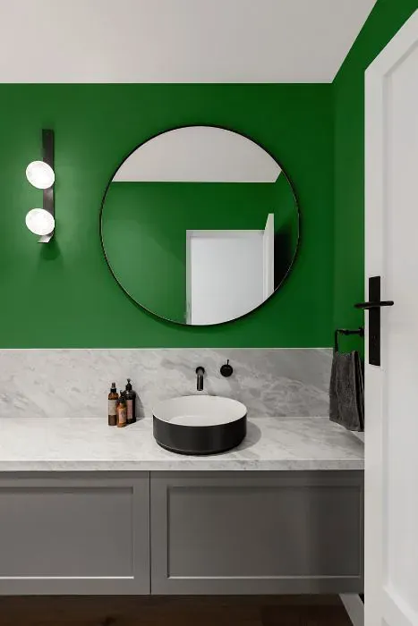 Sherwin Williams Kilkenny minimalist bathroom