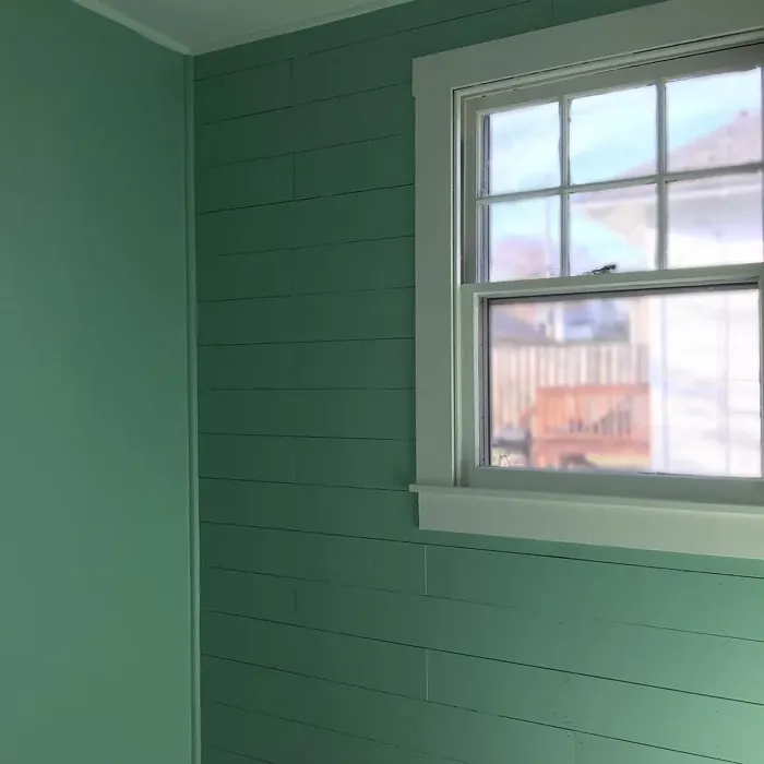 SW Kind Green wall paint 