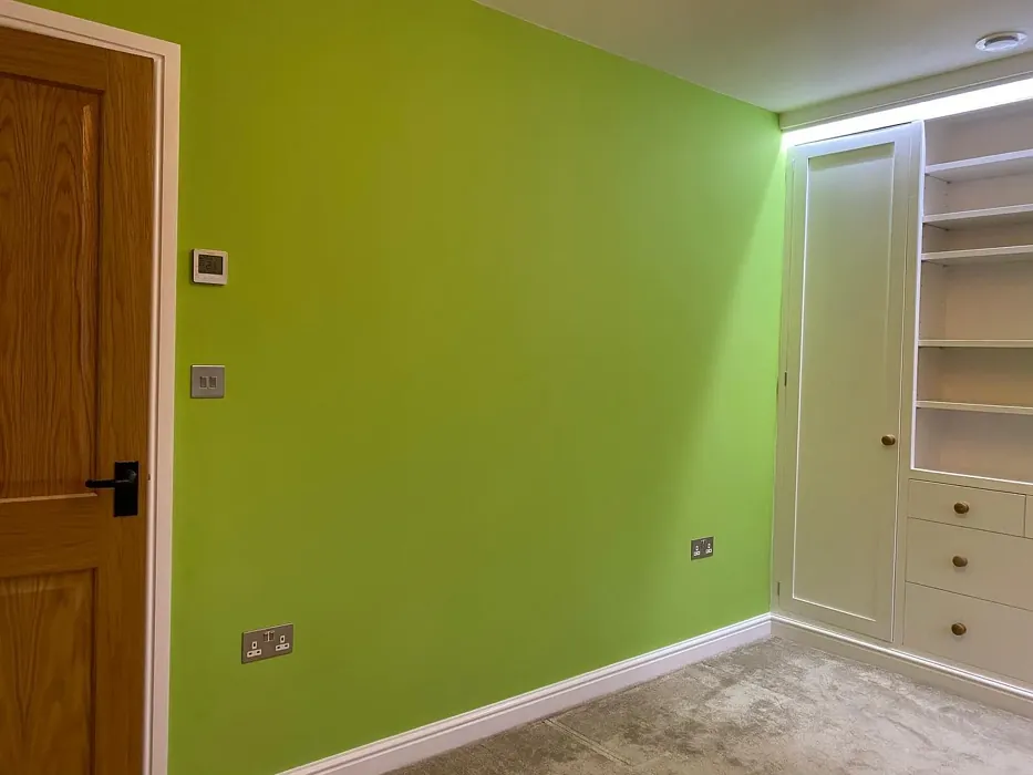 Dulux Kiwi Crush kids' room accent wall