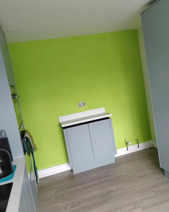 Dulux Kiwi Crush kitchen accent wall