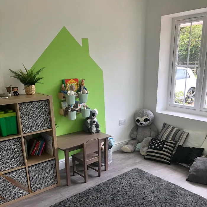 Dulux Kiwi Crush kids' room color-block