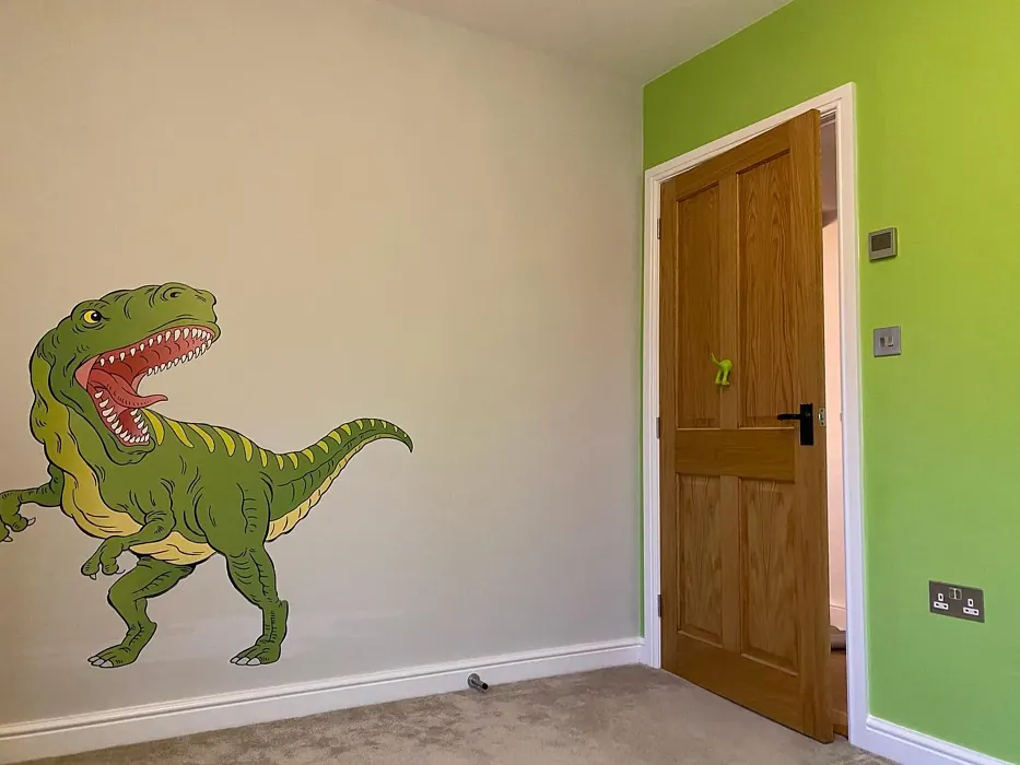 Dulux Kiwi Crush kids' room color